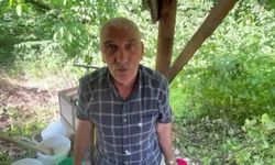 Dut pekmezi geleneği yaşatılmaya devam ediyor