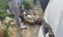 Eşi kayıp ilanı vermişti, cansız bedeni bulundu!