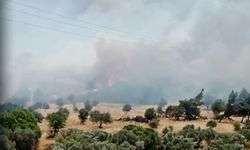 Foça orman yangını