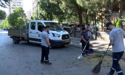 Kadıköy'de bir aracın üzerine ağaç devrildi