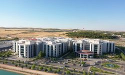 Lavabo açıcı çit, 2 sene sonra iyileşti