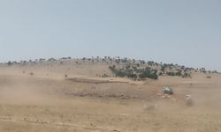 Mardin'de orman yangını çıktı