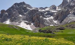 Sohmarik Yaylası'nda görsel şölen