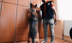 Tunceli'de uyuşturucu operasyonu