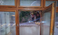 Yavru Kediler 2 Saatte Boşluktan Çıkarıldı