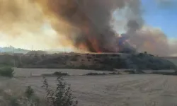 Bilecik'te orman yangını