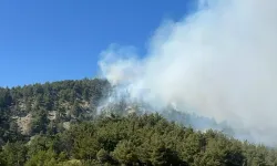 Eğirdir'de ormanlık alanda yangın