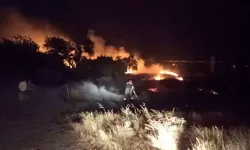 Burdur'da kuru otluk alan yangını