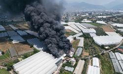 Fide üretim tesisindeki yangına müdahale edildi