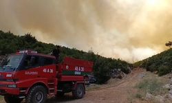 Gaziantep'te orman yangını meydana geldi