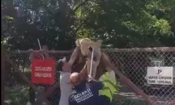 Gölbaşı Belediyesi Ekiplerinden Şok Görüntüler!