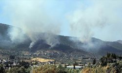 Hatay'da orman yangını