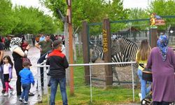 Hayvanat bahçesi Kurban Bayramı'nda ücretsiz olacak