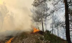 Balıkesir Dursunbey’de Orman Yangını!