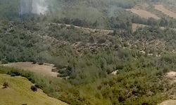 İmamoğlu ilçesinde orman yangını