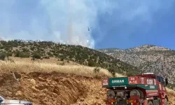 Kahramanmaraş'ta orman yangını