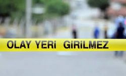 Çıkan kavgada başına darbe aldı