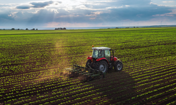 Anadolu Tarım İşletmesi Müdürlüğü 327 ton buğday satacak