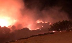 İzmir'de  yangın 1 saatte söndürüldü