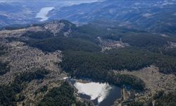 Ankara'da ormanlarda ateş yakılması yasaklandı