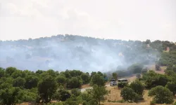 Uşak'ta makilik yangını çıktı