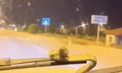 Otomobile yılan girdi!