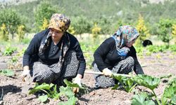 Mamak Belediyesi’nden Yerli Üretime Tam Destek!