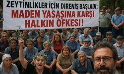 ZEYTİN ÜRETİCİLERİ MECLİS KAPISINDA, TASARI ERTELENDİ