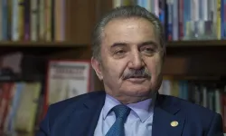 ZEYTİNLİK ALANLARI BARIŞIN VE EMEĞİN SEMBOLÜDÜR”