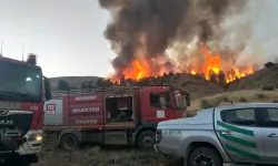 Afyonkarahisar'da orman yangını söndürüldü