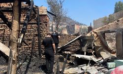 Bakan Kurum Sakarya'daki orman yangınına ilişkin ne dedi?