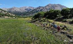 Berçin Yaylası Doğaseverlerin Yeni Gözdesi Oldu