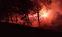 Bolu'da Yangın