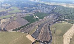 Çanakkale'de 85 hektar orman yandı