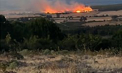 Çanakkale'de Yangın 1.5 Saatte Söndürüldü