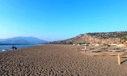 Caretta caretta yavruları denize kavuştu