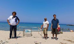 Caretta carettalar son yumurtalarını bırakmak için sahile çıkıyor!