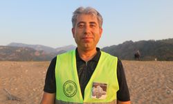 Deniz kaplumbağalarının zorlu yaşam mücadelesi