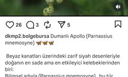 ‘Dumanlı Apollo' Uludağ'da görüldü!