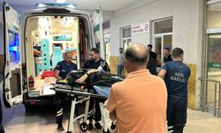 Eski Bitlis Valisi Kaza Geçirdi