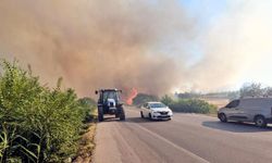 Hamzabeyli Sınır Kapısı'na giden yol ulaşıma kapatıldı