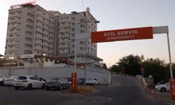 İlayda Sevgili Kurbanı