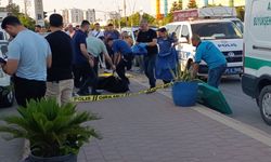 Kadını Yaraladı Sonra İntihar Etti