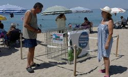 Kuşadası'nda yılın ilk caretta caretta yuvası!
