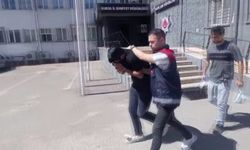 Oğlu sandı dolandırıldı!