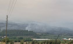 Sakarya'da orman yangını devam ediyor