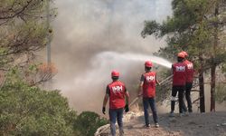 Tunuslu öğrenci orman yangınlarında yaralandı