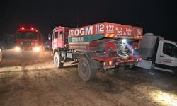 Uşak'ta orman yangını