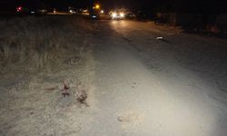 Yozgat'ta Muhtar Vuruldu