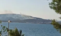 Balıkesir'deki orman yangını söndürüldü
